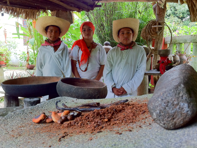 Explore the Cacao Plantations Tabasco on the Mayan Train