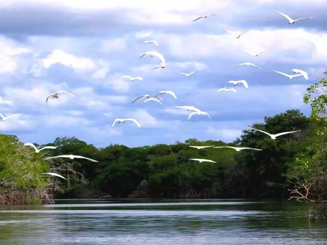 natural reserves in the State of Campeche of the Mayan Train Route