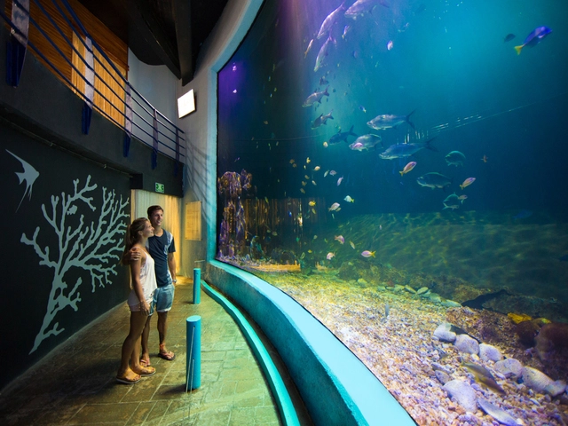 Visit the Aquarium