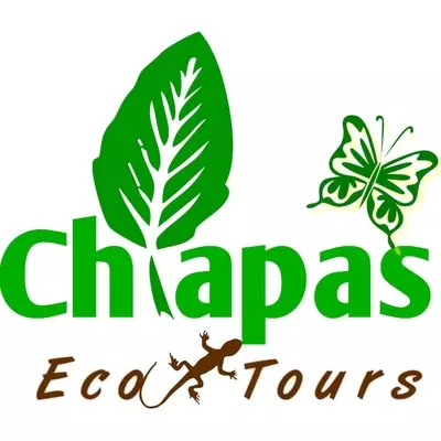 Chiapas Eco Tours on the Mayan Train Route