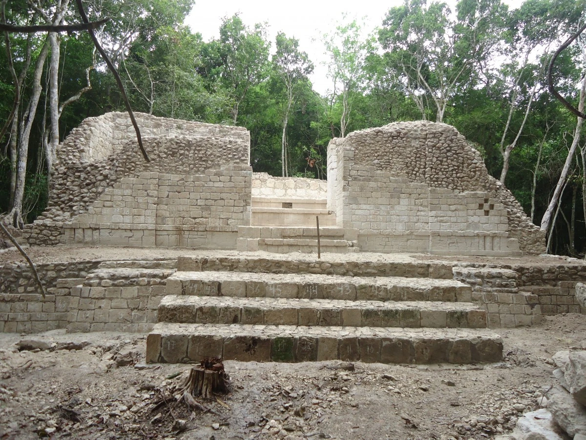 Structure VII Hormiguero